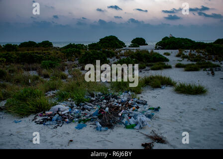 Figliata su un tropicale isola disabitata nell'Oceano Indiano Foto Stock