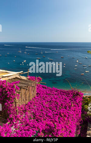 Positano incorniciato da rosa bouganville e barche in background. Foto Stock