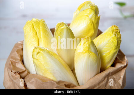 Materie organiche o belga indivia francese Foto Stock