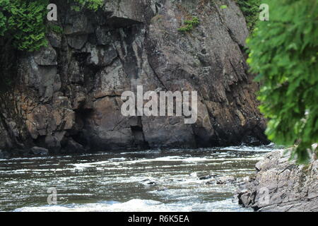 Cascata d'eau et natura / fiume nella natura Foto Stock
