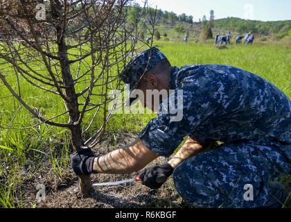 GETTYSBURG, Pa., (19 maggio 2017) le operazioni Specialist Seaman Ronald Johnson, da Akron, Ohio, assegnato alla Marina degli Stati Uniti Guardia cerimoniale Foto Stock