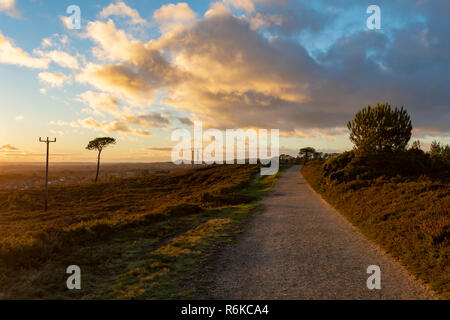 Colore vibrante paesaggio fotografia scattata su cui Canford heath riserva naturale guardando giù bridleway pubblica durante l ora d'oro. Foto Stock