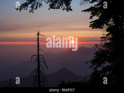 Tramonto sulla California Sierra Nevada con Sun e creste montane sull orizzonte e alberi da foresta in silhouette Foto Stock