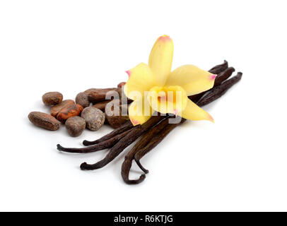 Baccelli di vaniglia e cacao in grani con un orchidea gialla. Isolato su sfondo bianco. Foto Stock