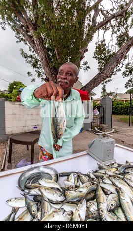 Uomo anziano jack vende pesce dal lato della strada in Holetown, Barbados nei Caraibi. Foto Stock