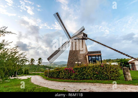 Morgan Lewis Windmill, Sant'Andrea, Barbados è l'Ultimo Mulino a vento di zucchero per operare in Barbados. Il mulino arrestato operanti nel 1947. Nel 1962 il mulino è stato dato alle Barbados National Trust dal suo proprietario Egbert L. Bannister per la conservazione come un museo Foto Stock