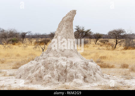 Termite mound in Africa Foto Stock