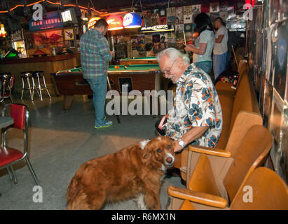 Albert Morton animali domestici il suo cane, Sweetie, come patroni biliardo a Echo Lounge Febbraio 28, 2011 a Meridian, Mississippi. Foto Stock