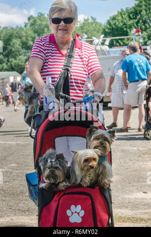 Una donna che porta i suoi tre Yorkshire terrier per la 66benedizione annuale della flotta in Bayou La Batre, Alabama, 3 maggio 2015. Foto Stock