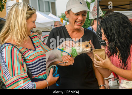 Christine Palmer mantiene la sua chihuahua, Carlie, come Kristin Judsky consente Carlie sniff un sacchetto della Turchia e la pancetta cane biscotti in Tucker, Georgia. Foto Stock