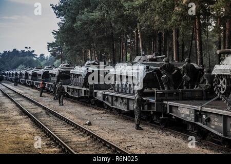 Decine di Polish BWP-1 fanteria veicoli da combattimento sono stati caricati su treni in Polonia. Stanno per essere trasportati Cincu in Romania per una prossima esercitazione NATO. Nobile Jump 2017 verificherà la disponibilità della NATO è molto alta disponibilità Joint Task Force (VJTF). Intorno al 4000 truppe provenienti da nove paesi della NATO stanno prendendo parte. Essi includono l'Albania, Bulgaria, Germania, Paesi Bassi, Norvegia, Polonia, Spagna, Regno Unito e Romania. Foto Stock