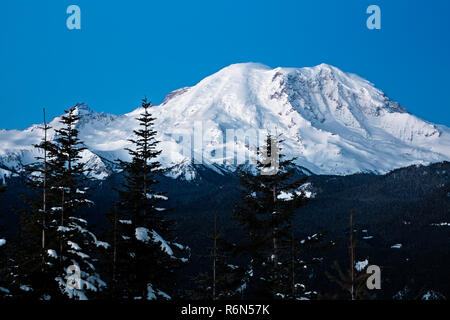 WA15427-00...WASHINGTON - Alba la luce sul Monte Rainier da Suntop Montagna in Mount Baker-Snoqualmie National Forest. Foto Stock