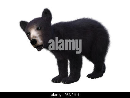 3D Rendering Black Bear Cub su bianco Foto Stock