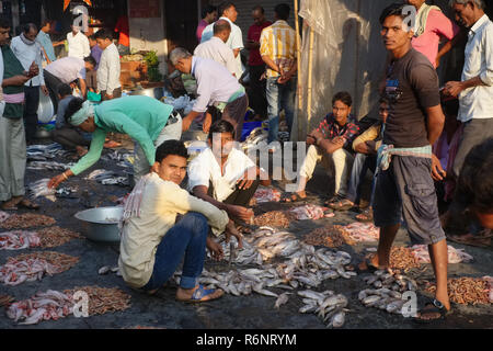 Inizio attività mattutina mercato del pesce vicino mercato Crawford in Mumbai, India Foto Stock