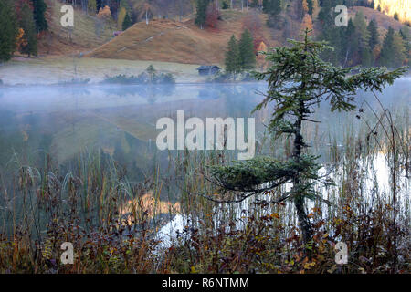 La luce del mattino al lago ferchensee Foto Stock