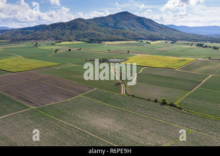 La canna da zucchero l' agricoltura nel lontano Nord Queensland vicino a Mackay. Allevamento di zucchero è una gran parte del settore agricolo nel Queensland con l'area aro Foto Stock
