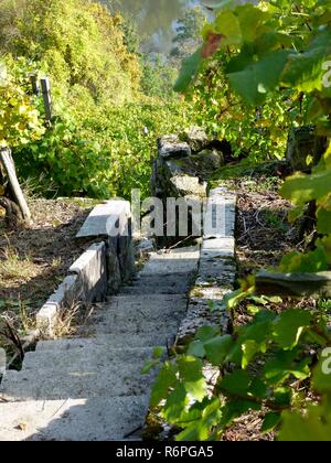 Vigneto scalinata fatta di pietre naturali Foto Stock