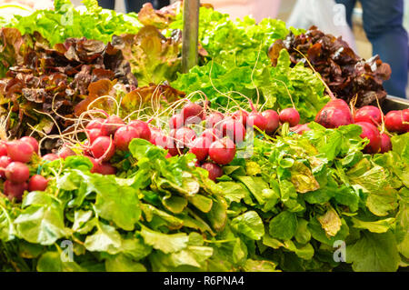 Red ravanelli nel mercato Foto Stock