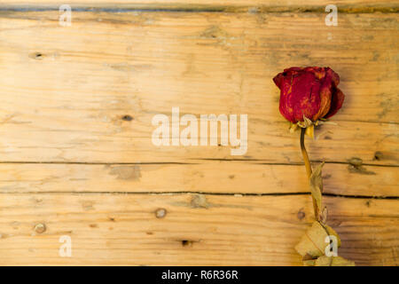 Secchi fiori rosa su sfondo di legno Foto Stock