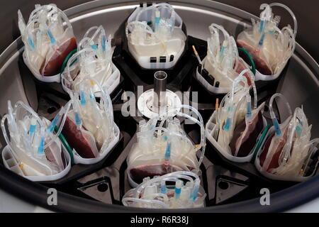Grande volume centrifuga per la centrifugazione di campioni di sangue, Repubblica Ceca Foto Stock