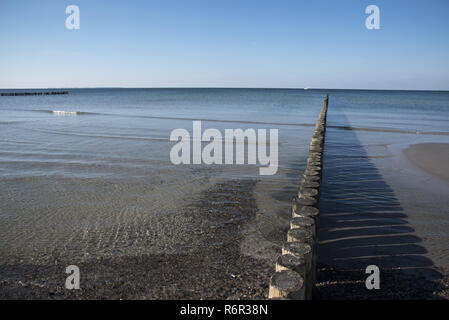 Ci viene naturale della spiaggia di sabbia che si affaccia sul Mar Baltico sulla costa occidentale dell isola di Hiddensee con strutture idrauliche per rallentare il movimento della sabbia. Foto Stock