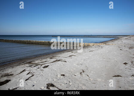 Ci viene naturale della spiaggia di sabbia che si affaccia sul Mar Baltico sulla costa occidentale dell isola di Hiddensee con strutture idrauliche per rallentare il movimento della sabbia. Foto Stock