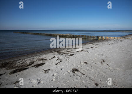 Ci viene naturale della spiaggia di sabbia che si affaccia sul Mar Baltico sulla costa occidentale dell isola di Hiddensee con strutture idrauliche per rallentare il movimento della sabbia. Foto Stock