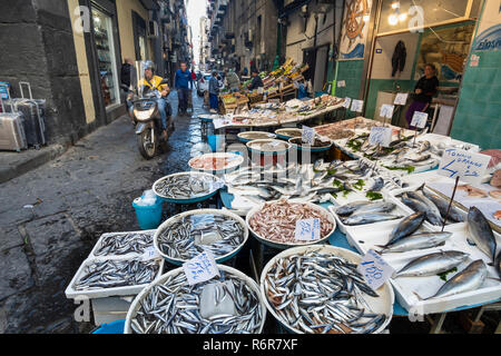 Un pescivendoli in stallo il mercato sulla via Pignasecca sul bordo settentrionale dei Quartieri Spagnoli, Quartieri Spagnoli, Napoli, Italia. Foto Stock