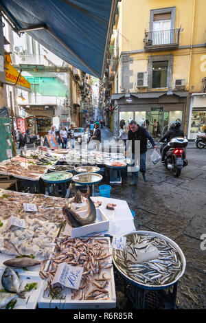 Un pescivendoli in stallo il mercato sulla via Pignasecca sul bordo settentrionale dei Quartieri Spagnoli, Quartieri Spagnoli, Napoli, Italia. Foto Stock