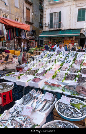 Un pescivendoli in stallo il mercato sulla via Pignasecca sul bordo settentrionale dei Quartieri Spagnoli, Quartieri Spagnoli, Napoli, Italia. Foto Stock