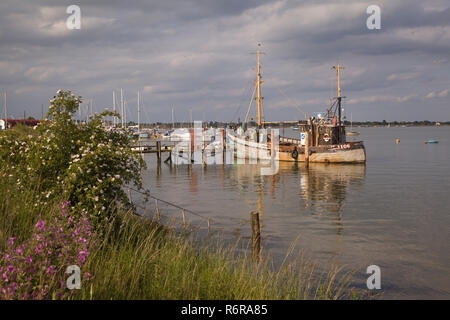 Una vecchia ruggine delicatamente la barca da pesca, il Ranger, ormeggiata sulla Blackwater Estuary a Maldon Essex Foto Stock