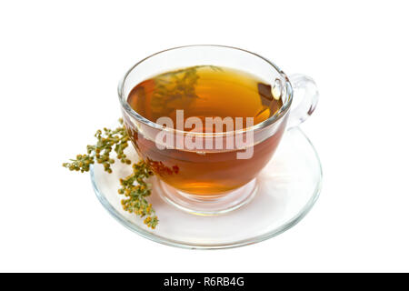 Il tè alle erbe da assenzio in un bicchiere di vetro su un piattino, grigio sagebrush ciuffo isolato su uno sfondo bianco Foto Stock