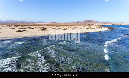 Vista aerea delle onde del mare la frantumazione di spiaggia di sabbia bianca da dune e montagne vulcaniche, su una soleggiata giornata estiva in Fuerteventura Isole Canarie . Foto Stock