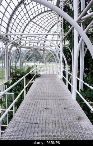 Giardino botanico di Curitiba in interni architettura serra hall Foto Stock