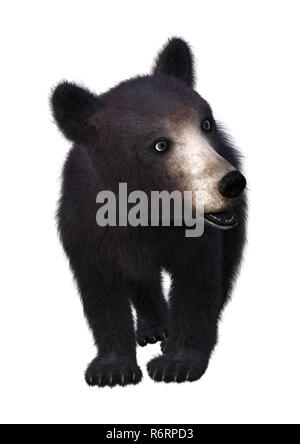 3D Rendering Black Bear Cub su bianco Foto Stock