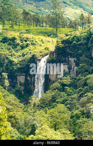 Tomaia Ramboda Falls, vicino a Nuwara Eliya, Sri Lanka Foto Stock