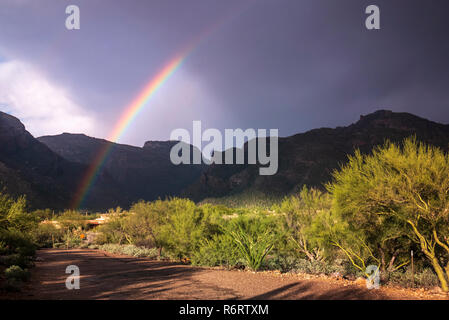 Un brillante arcobaleno oltre la periferia di Tucson Foto Stock