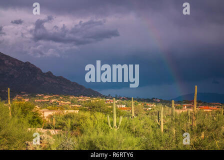 Un brillante arcobaleno oltre la periferia di Tucson Foto Stock
