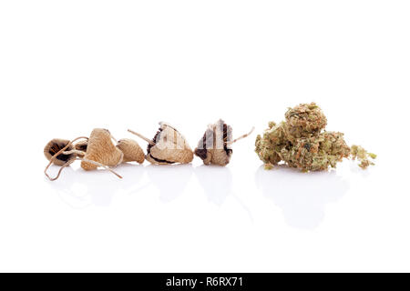 Asciugato i funghi magici con bud marijuana Foto Stock