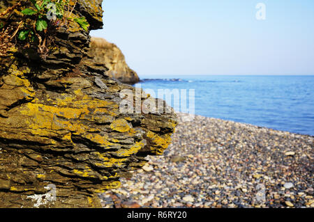 Rock close up contro lo sfondo del mare e della spiaggia di ciottoli. Dietro la scogliera è un mare blu e l'acqua. A est della Russia, la città di Vladivos Foto Stock