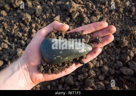 Il neolitico ascia in pietra 5000-6000 A.C. Foto Stock