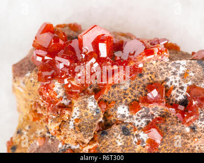 Druse di cristalli Vanadinite close up su bianco Foto Stock