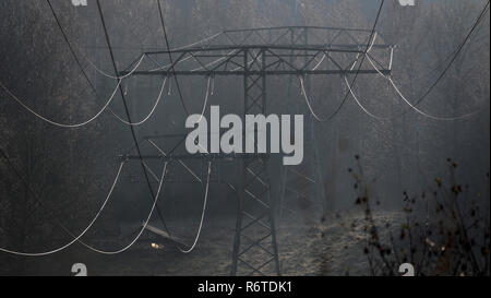 Bad Schlema, Germania. 23 Nov, 2018. Le linee elettriche in alta tensione brillare contro la luce in una zona di foresta vicino a Bad Schlema. Credito: Jan Woitas/dpa-Zentralbild/ZB/dpa/Alamy Live News Foto Stock