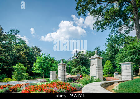 I fiori sbocciano all'ingresso Emory University, 7 luglio 2014, ad Atlanta, Georgia. Emory è stata fondata nel 1836 ed è un privato di ricerca università. Foto Stock