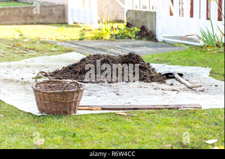 Piccolo mucchio di letame maturo sul tarp nel cortile anteriore. Giardino di pala e cesto vicino heap. Fertilizzante organico per la concimazione del terreno pronto a lavorare in au Foto Stock