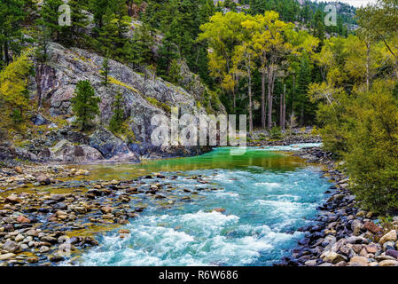 Il bellissimo Fiume Animas flussi tra Durango e Silverton, CO. È partciularly bella in autunno. Foto Stock