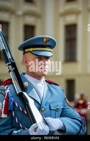 Protezione del castello durante la cerimonia del cambio della guardia, la Piazza del Castello di gate, il Castello di Praga, il quartiere del Castello, Praga, Repubblica Ceca Foto Stock