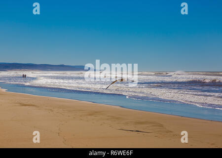 Spiaggia di sabbia sulla costa vicino a Essaouira, Marocco Foto Stock