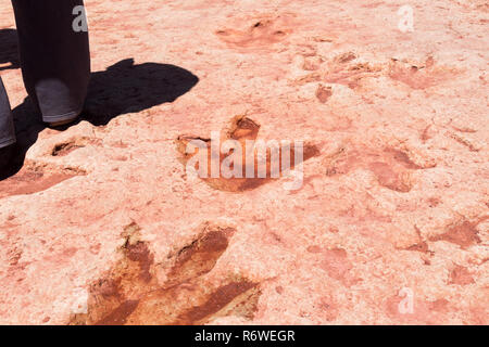 Moenkopi tracce di dinosauri queste tracce di dinosauri sono state formate nei primi Giurassico, circa 200 milioni di anni fa e sono stati verificati da Foto Stock