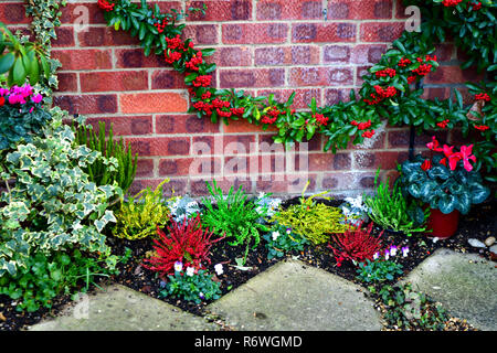 Quartiere di Newmarket, Regno Unito. I colori autunnali, giardini, foglie, alberi, meteo, fiori, Foto Stock